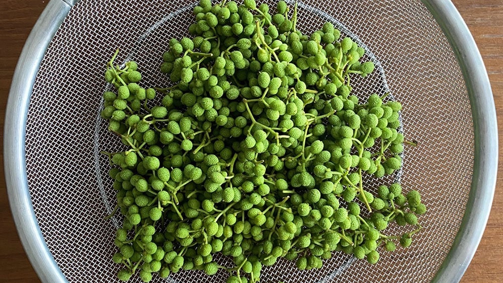 山椒