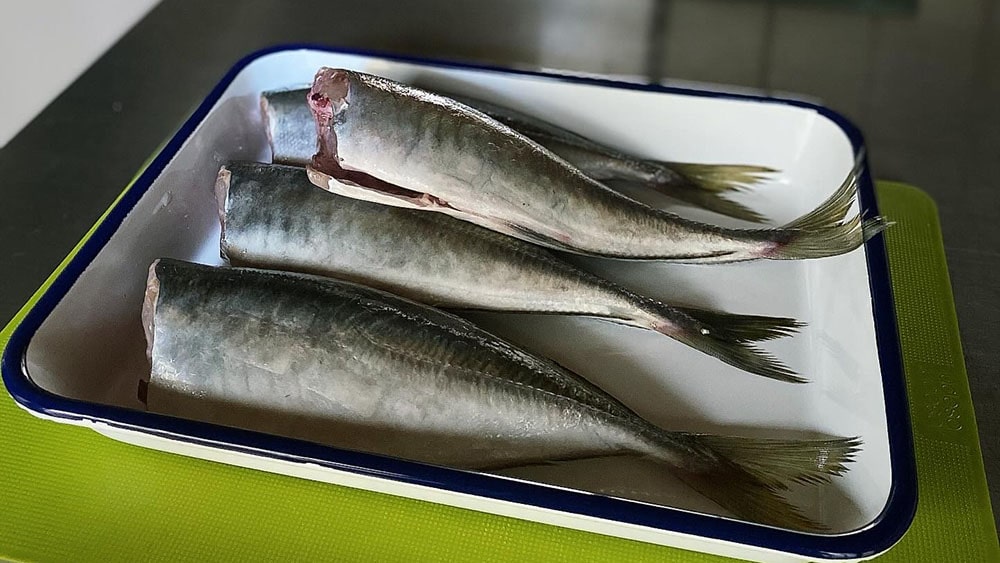 鯵